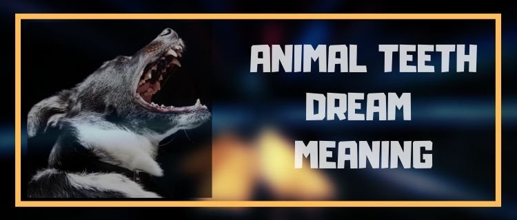 Dream about animal teeth