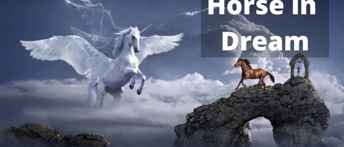 What is the meaning of a horse in dream? The meanings of seeing a horse in a dream