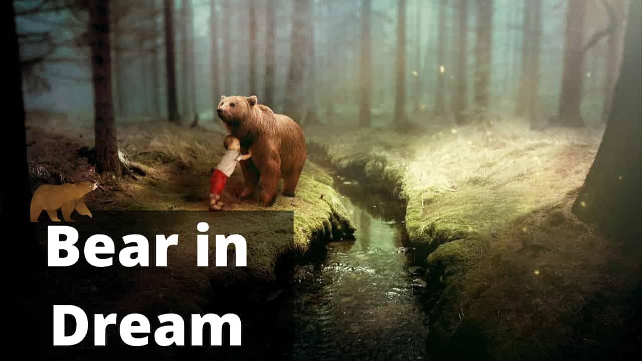 Bears in Dream Meaning, Interpretation & Interpretation