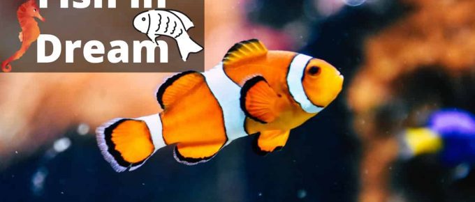 Dreams About Fish – Interpretation and Meaning