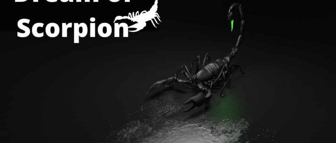 Dream Meaning of Scorpion - Dream Interpretation