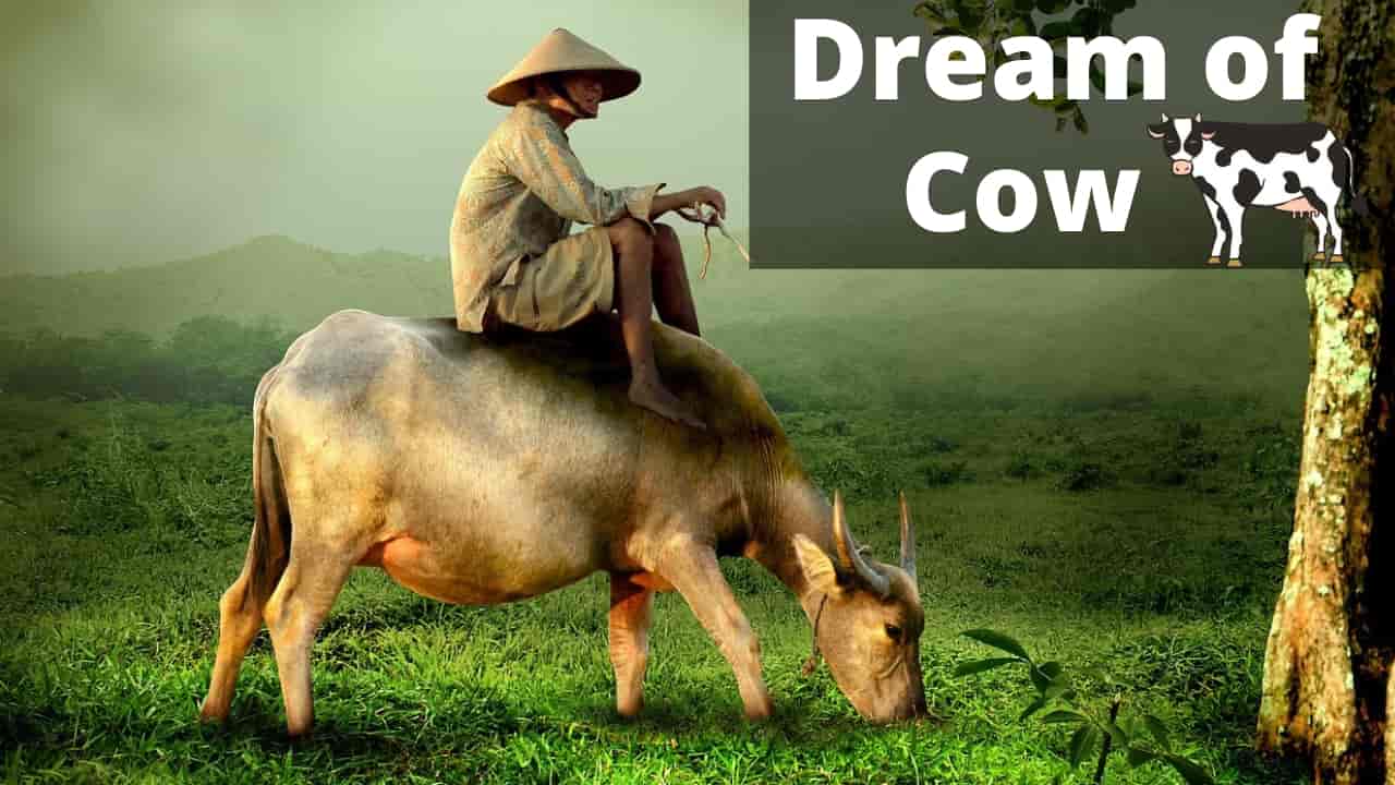 Cow in Dream Meaning, Interpretation & Symbolism