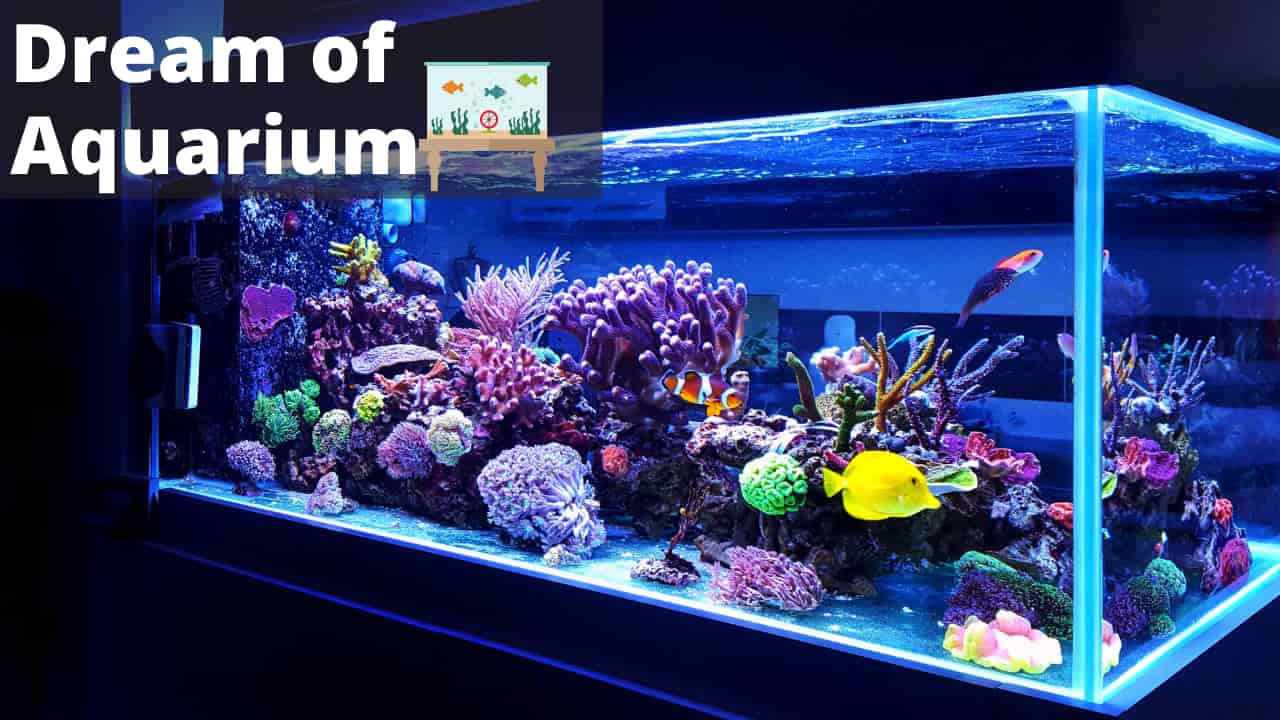 Dream About Aquarium - Meaning, Interpretation, symbolizm, and sign