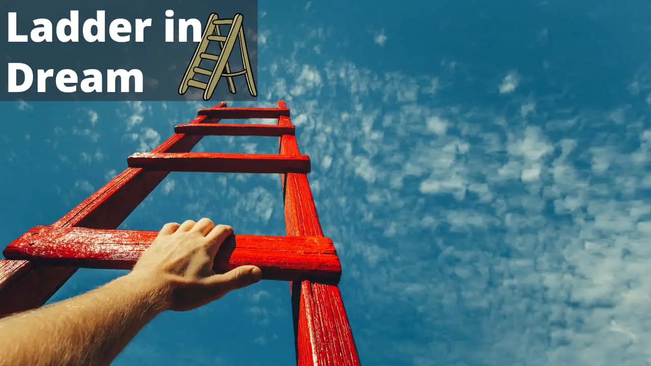 Dreams Of Ladder | Meaning Symbolism Ladder | Ladder Dreams