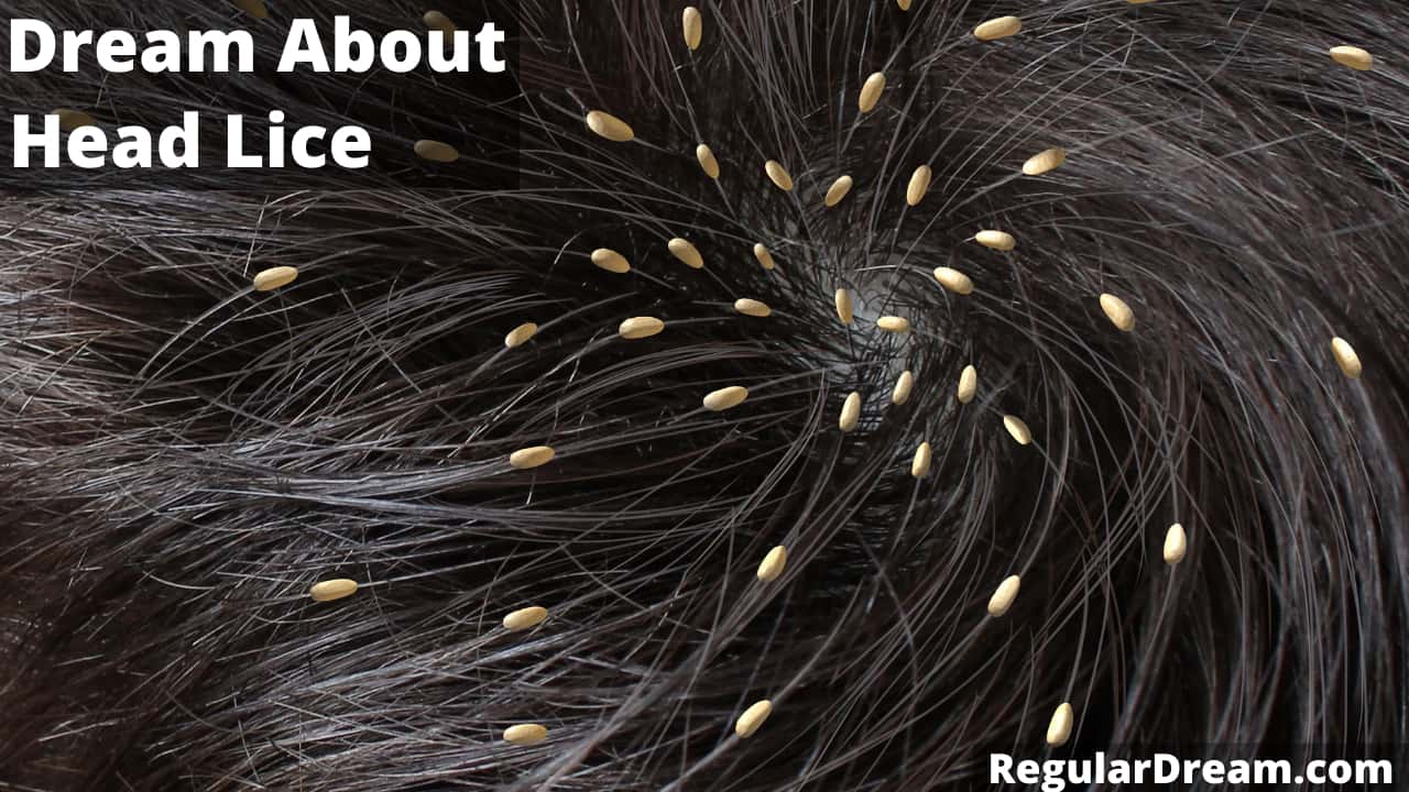 Head Lice Are EqualOpportunity Invaders  University Health News