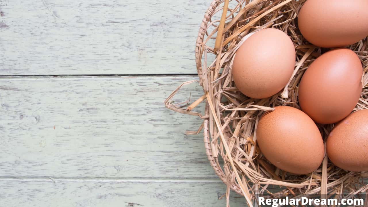 Dream About Eggs Meaning Interpretation Symbolism