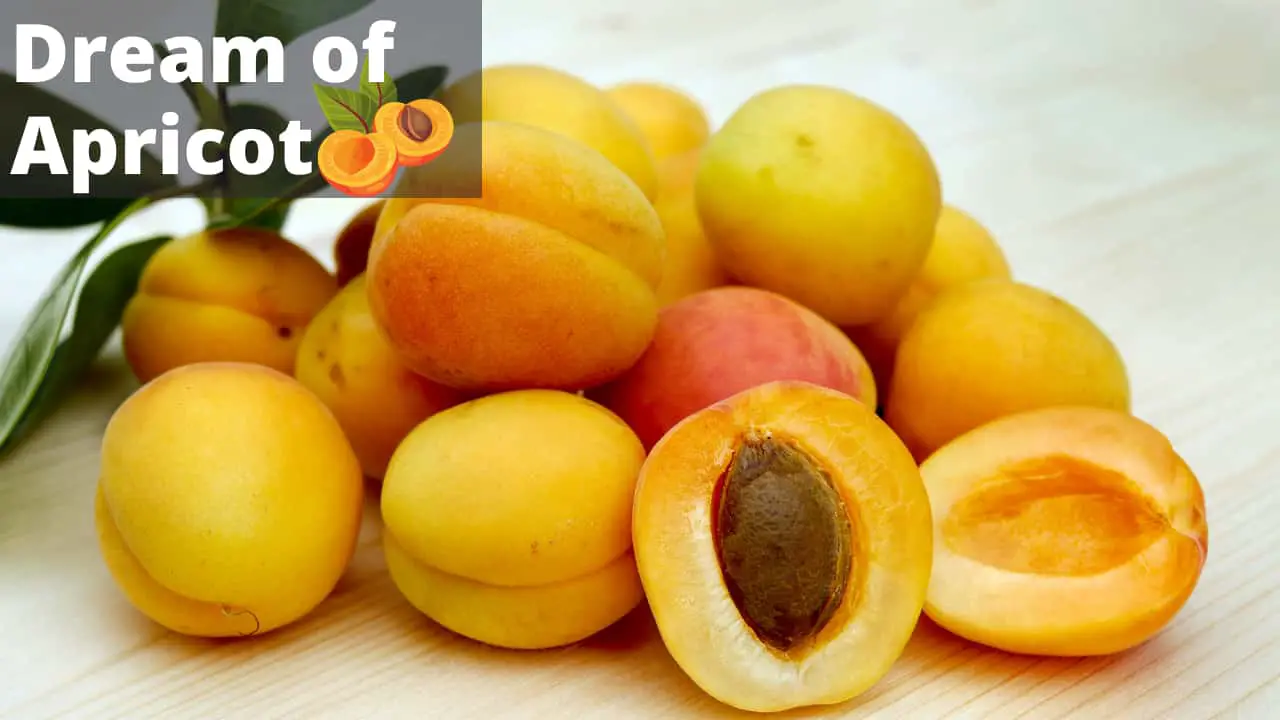 Dream About Apricot - What does Apricot dream means?