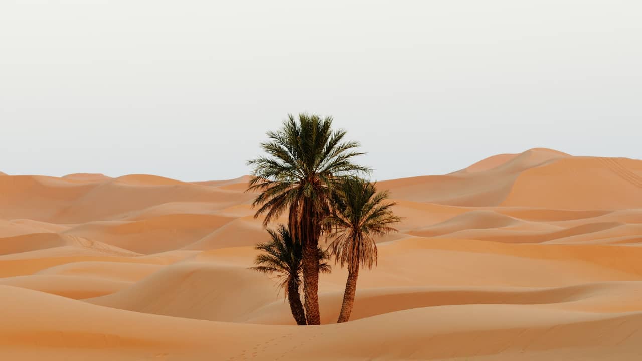 Dreams about desert - Meaning and Interpretation of Desert Dream