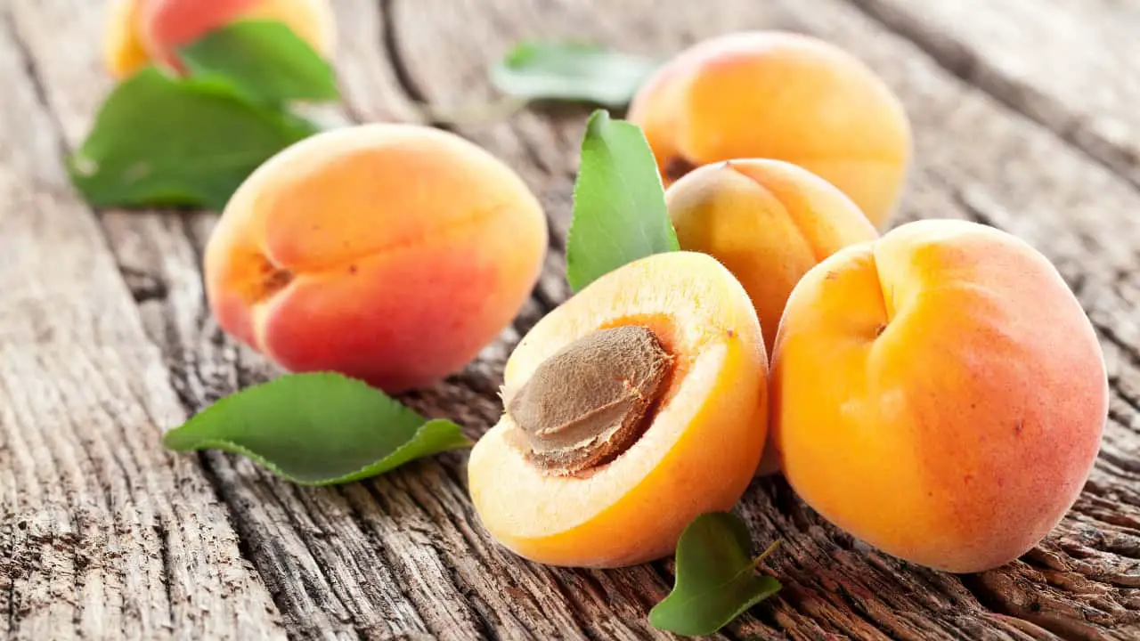 What does dream about Apricot means? Does it has a special significance?