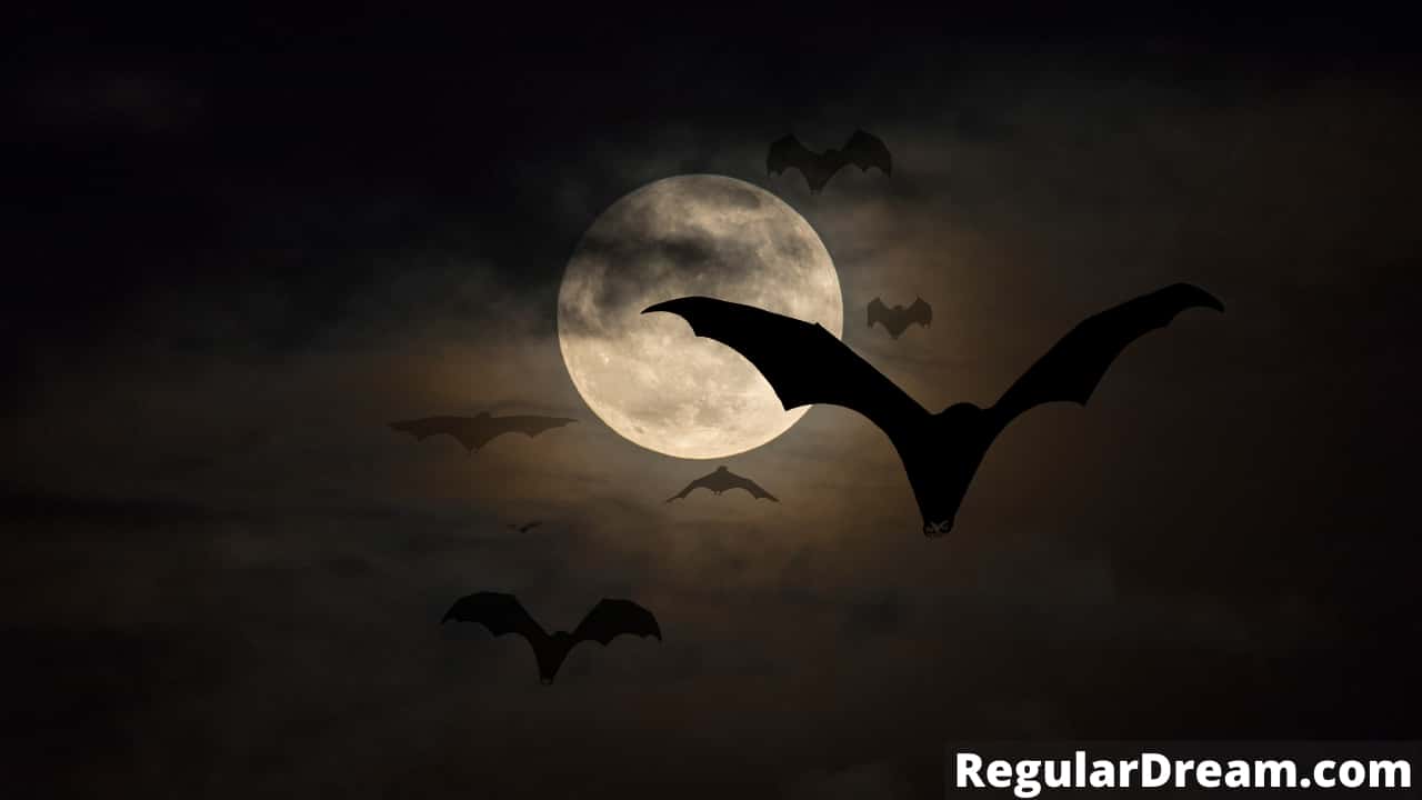 Bat in Dream - What does bat in dream means?