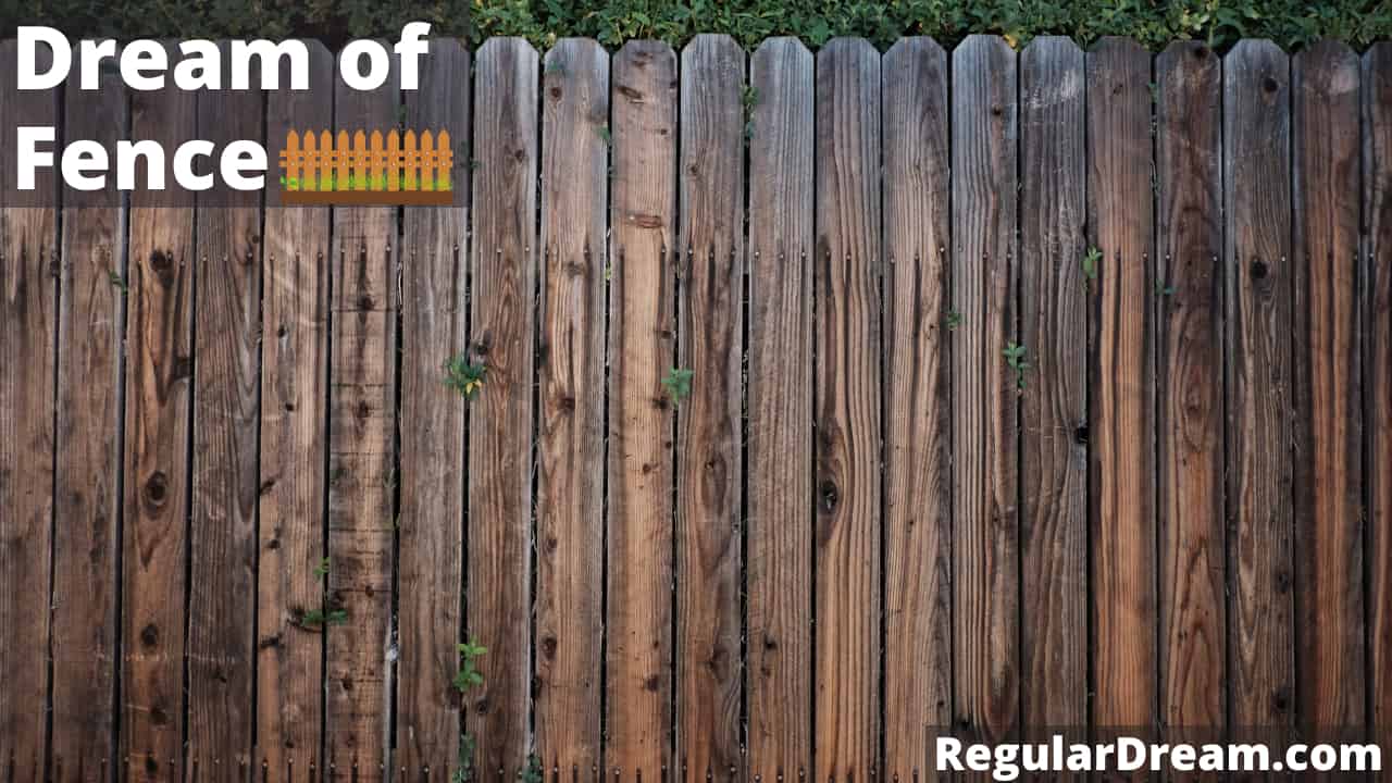 Dream about fence - What does fence dream means?