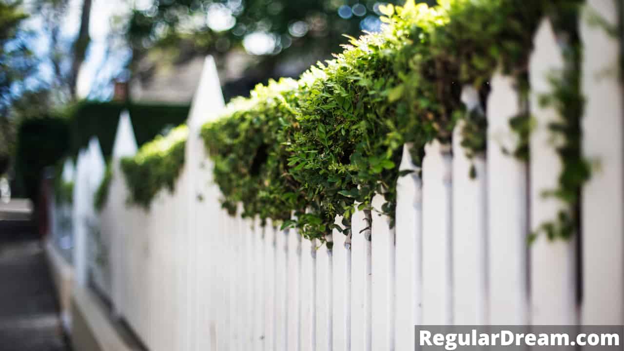 Dream interpretation of Fence - What does Fence symbolise in dream