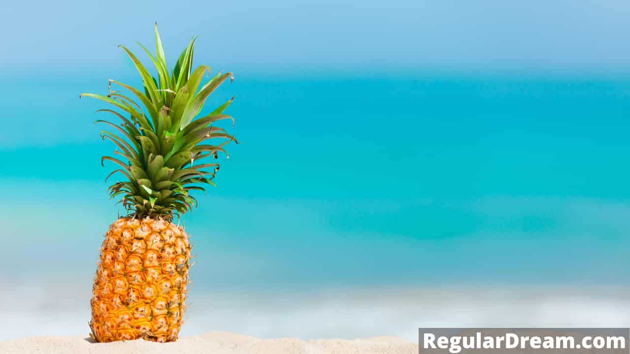 Why I keep dreaming about Pineapple? What does Pineapple dream means?