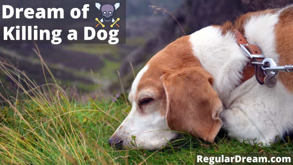 Dream About Killing a Dog - Meaning, Interpretation & Symbol