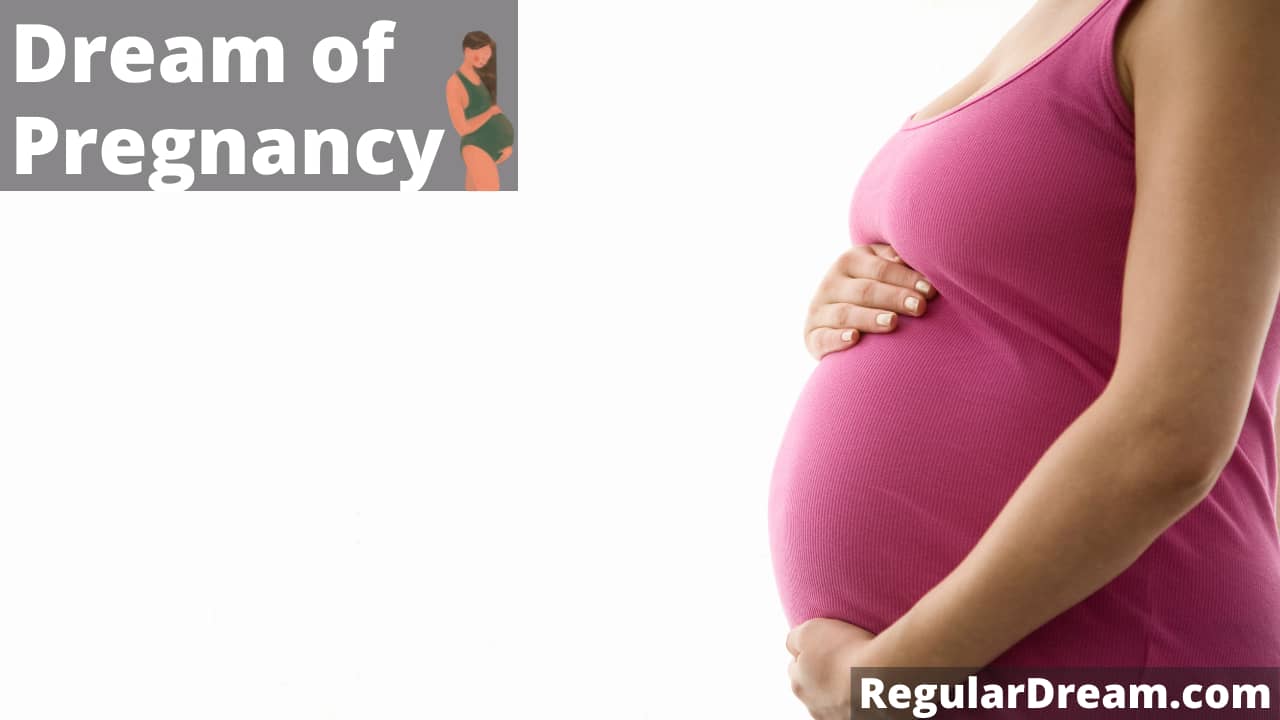 Dream about Pregnancy - What does Pregnancy dream means?