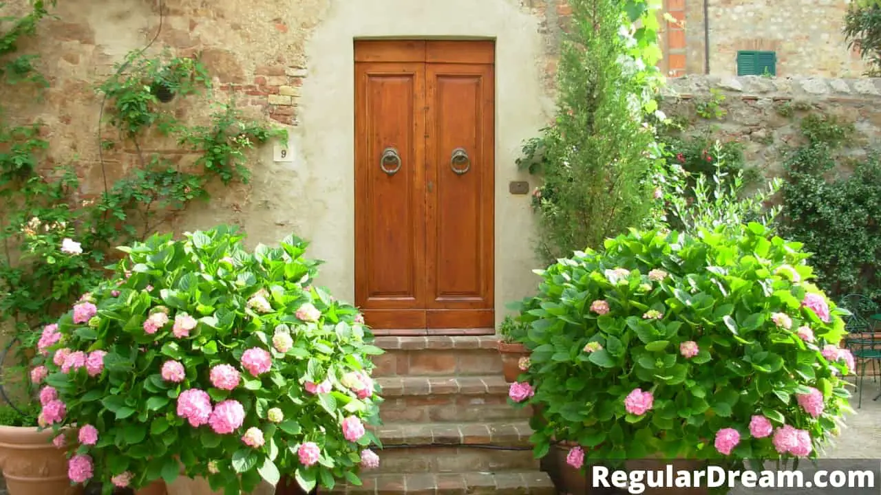 What does it mean to dream about Door? Door dream symbolism