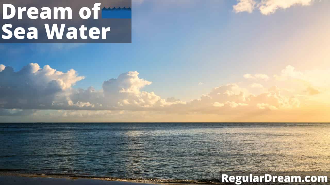 Dream about Sea Water - What does Sea Water dream means?