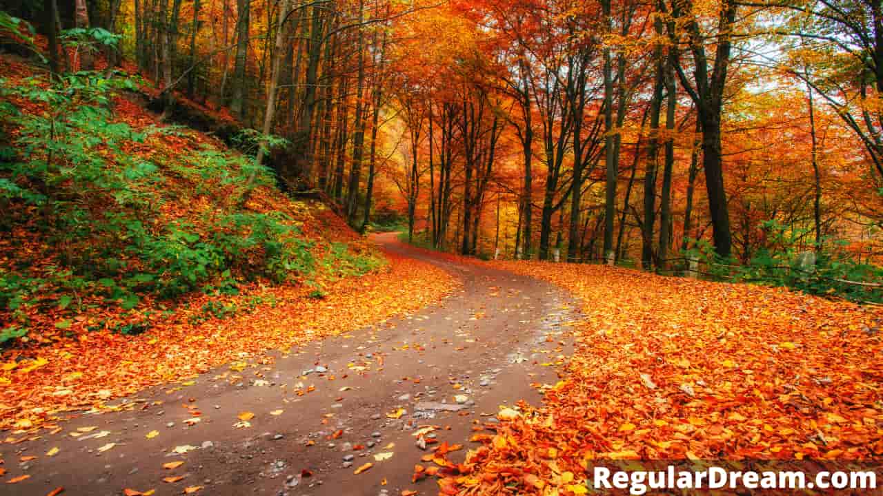 Dream interpretation of Autumn - What does Autumn symbolise in dream