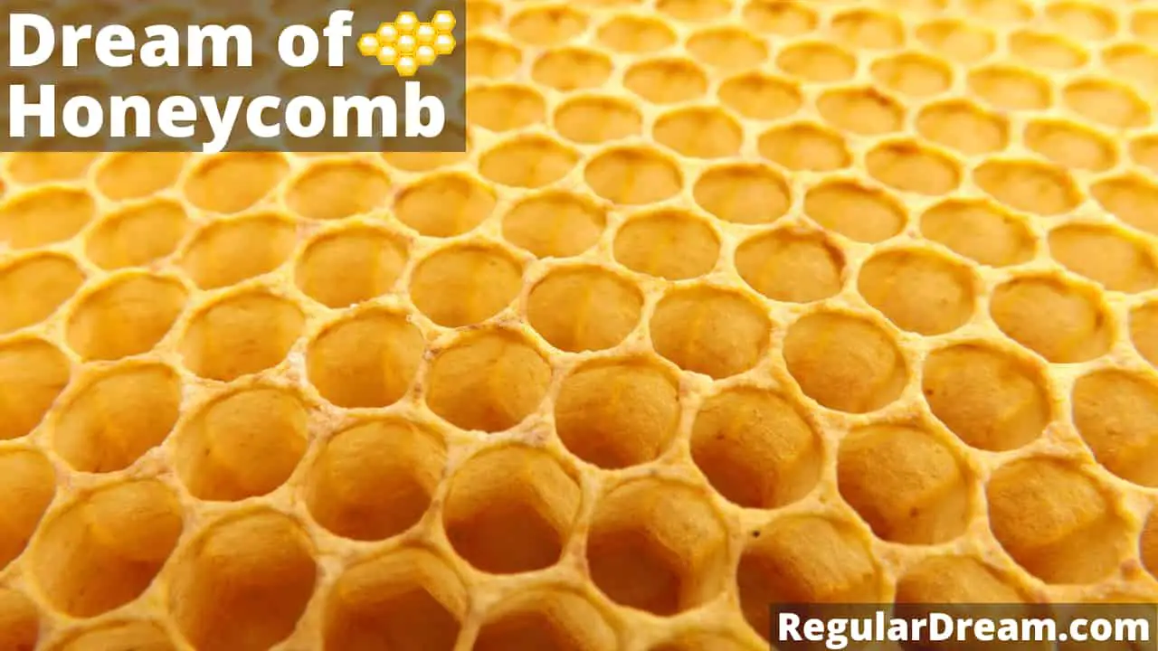 Dream about Honeycomb - What does Honeycomb dream means?