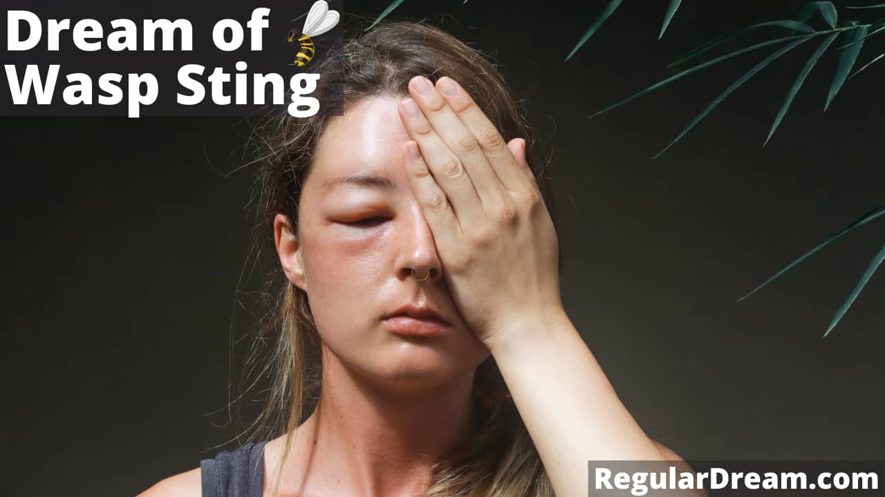 Dream about Wasp Sting - What does Wasp Sting dream means?