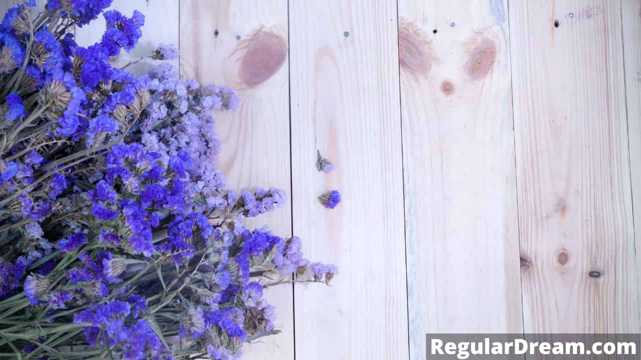 Dreams about Lavender - Meaning and Interpretation of Lavender Dream