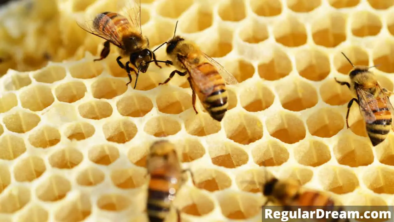 What does dream about Honeycomb means? Does this dream has a special significance?