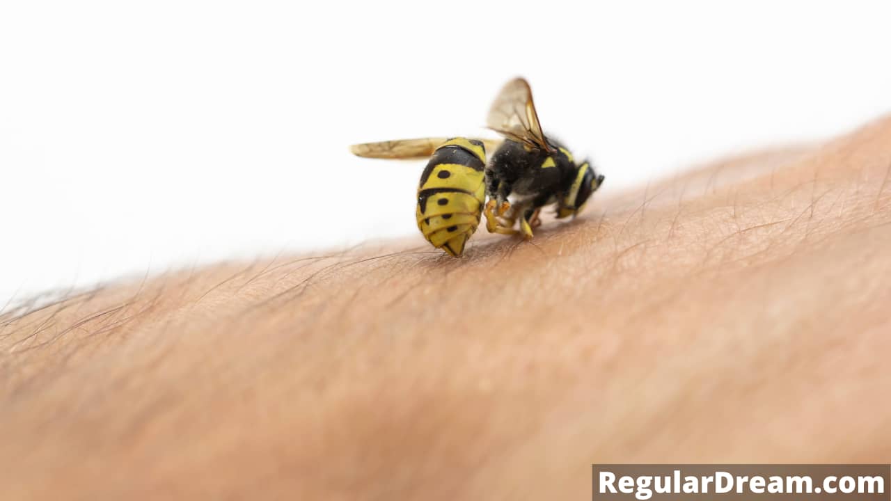 Why I keep dreaming about Wasp Sting? What does Wasp Sting dream means?