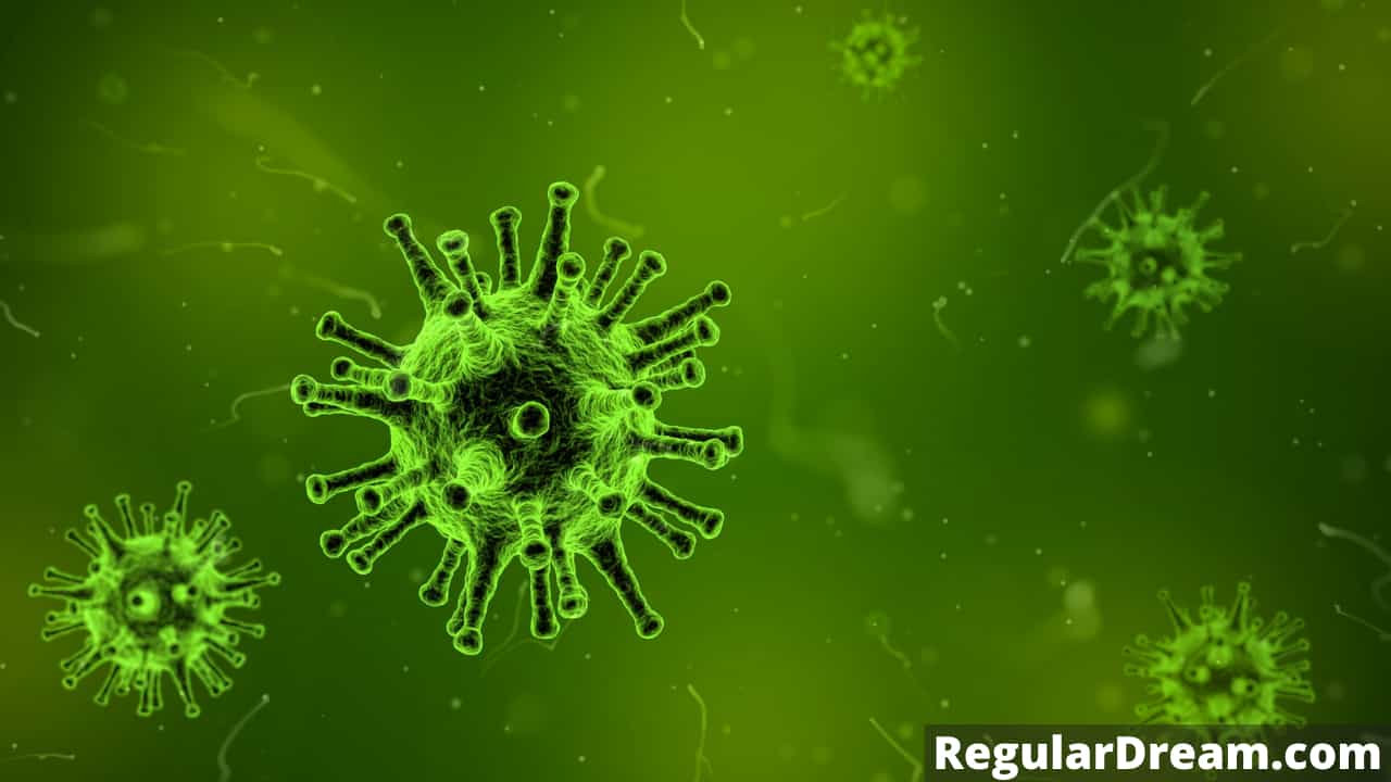 What does dream about Virus means? Does this dream has a special significance?