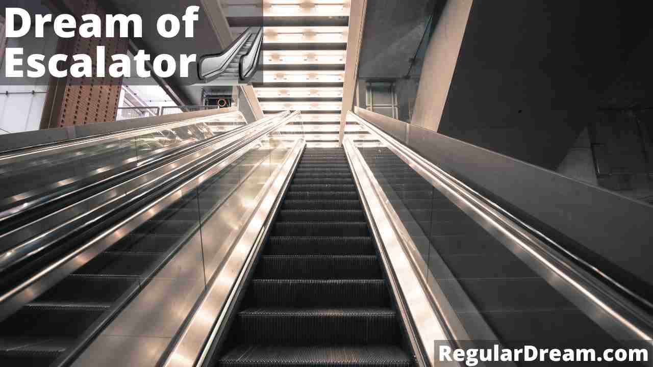 It shows two Escalator and telling What Dream of Escalator means in your waking life and what message it contains for you