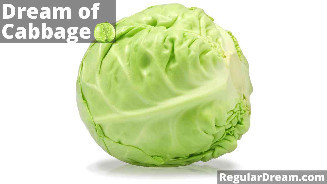 It shows the meaning of the dream about Cabbage. If you recently saw Cabbage in dreams, this will help you interpret it.It shows the meaning of the dream about Cabbage. If you recently saw Cabbage in dreams, this will help you interpret it.